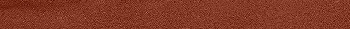 Glovetanned couro coach