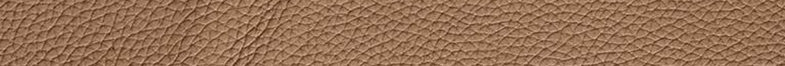 Glovetanned Pebble couro coach