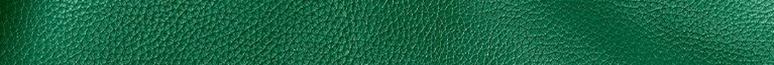 Regenerative Leather couro coach