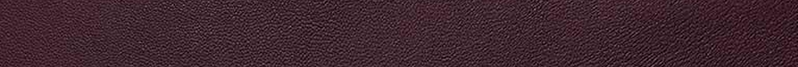 Soft Grain couro coach