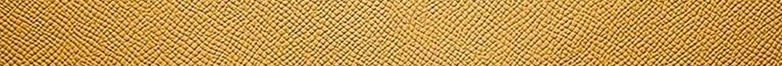 Crossgrain couro coach