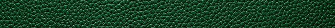 Pebble couro coach