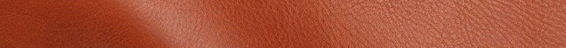 Natural Grain Leather couro coach
