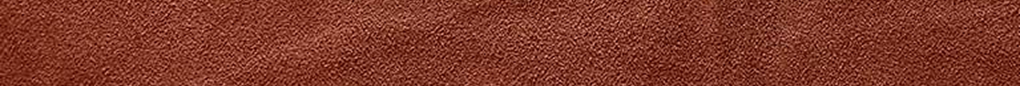 Suede couro coach